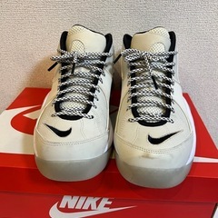 【美品】NIKE エアズームフライト95 25.5cmの画像