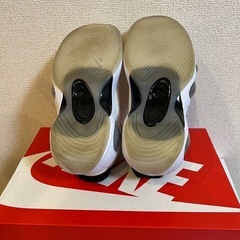 【美品】NIKE エアズームフライト95 25.5cmの画像