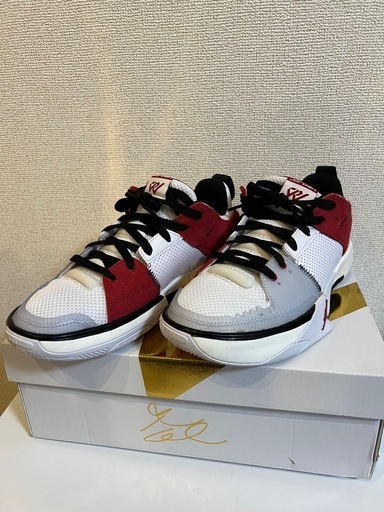 【美品】ジョーダン（JORDAN）ワン テイク 5 PF FD 25.5cm