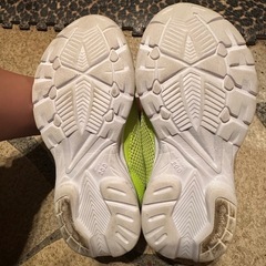 20センチスニーカーの画像