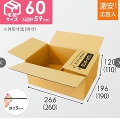 ダンボールワン 60サイズ 訳あり /27まで 在庫処分の画像