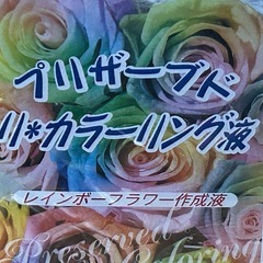プリザーブド リ・カラーリング液3本セット
の画像