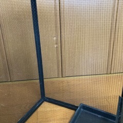 カメレオン(爬虫類)ケージの画像