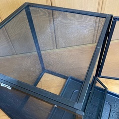 カメレオン(爬虫類)ケージの画像