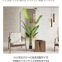 オーガスタ　フェイクグリーンの画像