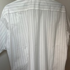 新品ですが染み多数ありの画像