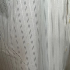 新品ですが染み多数ありの画像