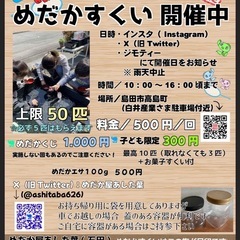 3月29日(土)めだかすくい開催　めだかくじのラインナップ追加し...