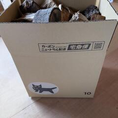 広葉樹薪　端材の画像