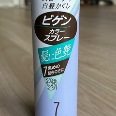 ビゲン カラースプレー ヘア用 白髪かくしの画像
