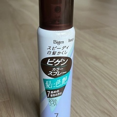 ビゲン カラースプレー ヘア用 白髪かくし