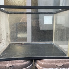 3月末まで！！水槽の画像