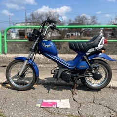 未使用 未登録 YAMAHA ポップギャル 17J 原付 スクーター 美車 一度もガソリン入れてません!! 当時のまま!! かなり希少 富山発 現車確認可!の画像