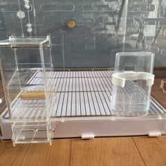 小動物　アクリルケージ　の画像