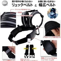 子供用タンデムベルトの画像