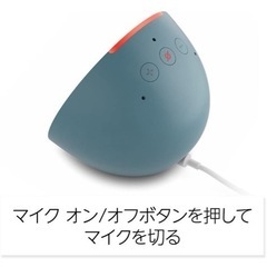 アレクサの画像