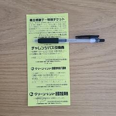 グリーンランド特別チケット