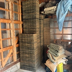 無料❗️苗箱、などの画像