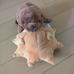 [終了][4枚目の写真　メンダコ、アシカは決まりました][その他の子たちも決まりました]海の生き物　ぬいぐるみの画像