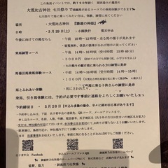 乗馬体験募集中