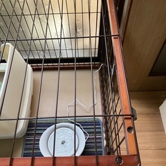 中型犬ゲージ縦70㎝横114ｾﾝﾁ