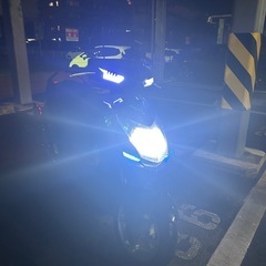 シグナス4型の画像