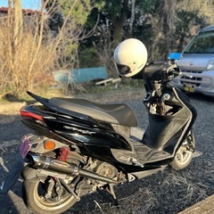 シグナス4型の画像