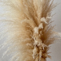 パンパス・フラワーベースセットの画像