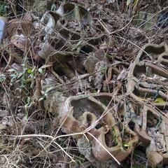 古い瓦　傷割れ等あり現状　取り放題500円の画像