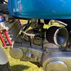 ゴリラ改（モンキー）Z50Jの画像