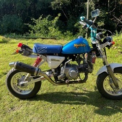 ゴリラ改（モンキー）Z50J
