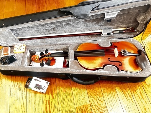 Hallstatt V-12/BR ブラウン バイオリン 4/4サイズ ハルシュタット