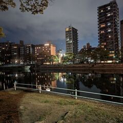 エンターテイメントHIROSHIMA‼️🏞️
