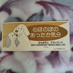 アクリル二重毛布②　シングルサイズの画像