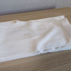 綺麗め白のパンツの画像
