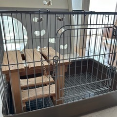美品！小動物ゲージの画像
