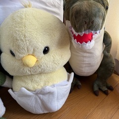 ぬいぐるみ🧸🧸の画像