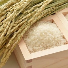 玄米30キロ売っていただける方
