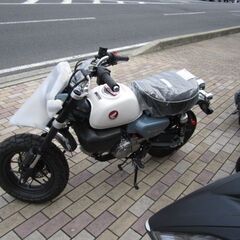 希少なモンキー１２５入荷致しました！本日入荷！現在入手困難車輌！HONDA　新車販売中！即納車両在りますの画像