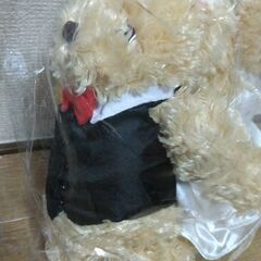 くまのぬいぐるみの画像