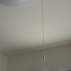 🎶電気照明🎶の画像