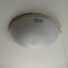 🎶電気照明🎶の画像
