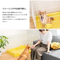 ペットケージ ペットゲージ　子犬子猫お迎えに　の画像
