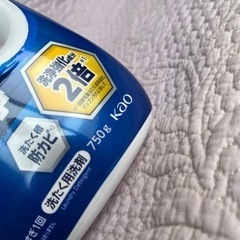 アタック抗菌EX 洗濯用洗剤 1個 (本体ボトル. 750g)の画像