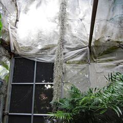 園芸用ビニールハウスの修理