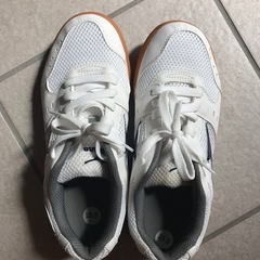 男子体育館シューズ　姫路工業高校の画像