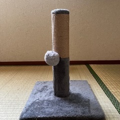 ねこ おもちゃ
