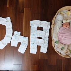 クーファン　ベビー　籠の画像