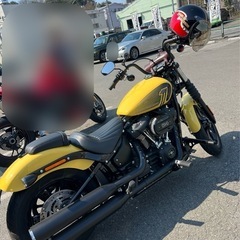 早い者勝ち！ 値引き交渉可
ハーレー　ストリートボブ114 2023年式の画像