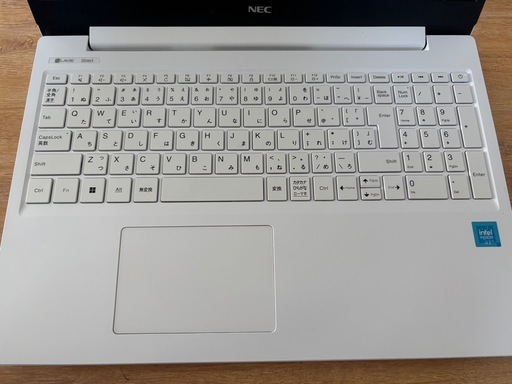 パソコン LAVIE Direct N15
